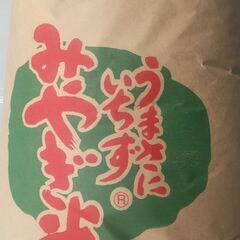 新米令和4年産ひとめぼれ玄米30Kg