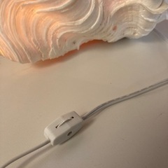 シェルライト大　クリーニング済み【管理番号81210】