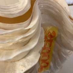 シェルライト大　クリーニング済み【管理番号81210】