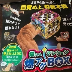 ネコのおもちゃ　猫ちゃんテンション爆アゲBOX