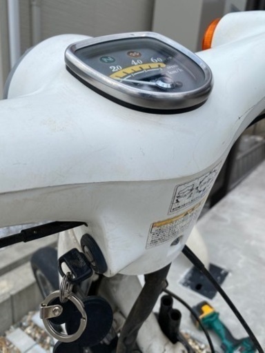 HONDA ホンダ リトルカブ50 スーパーカブ