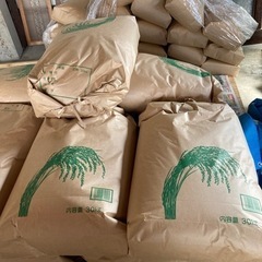 あと5袋　新米　令和4年9月刈取　コシヒカリ　玄米30kg