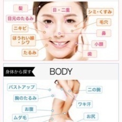 BODY ARCHI会員様 湘南美容クリニック特別優待券