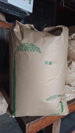 新米(キヌヒカリ)玄米1袋(30kg) 7000円 No.6