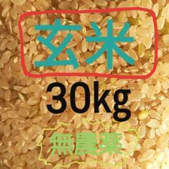玄米　30㎏　新米　無農薬