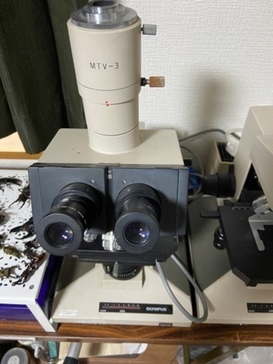 OLYMPUS 双眼実体顕微鏡