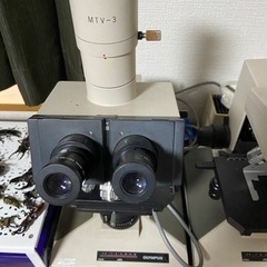 OLYMPUS 双眼実体顕微鏡 