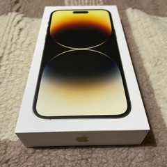 ★極美品★ iPhone14pro 256GB ゴールド SIMフリー 61ogj3+MtFL._UF894,1000_QL80_.jpg