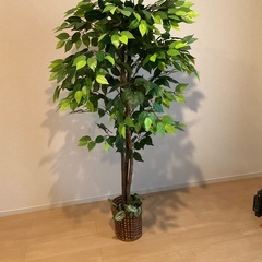 人工観葉植物(鉢付き)+ テレビ台