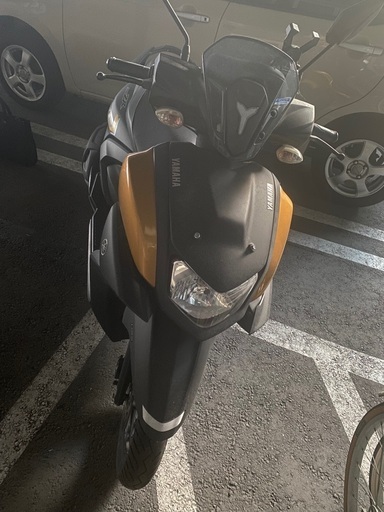 シグナスRAY ZR 125cc 小型バイク