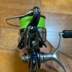 19セルテート3000