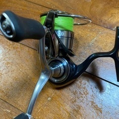 19セルテート3000