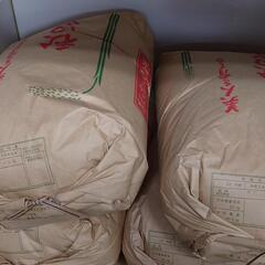 【ネット決済】R3年度産　秋田県産　ササニシキ 30kg　2袋