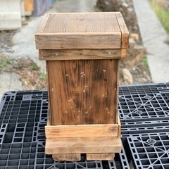 ヒノキ）ミツバチ飼育用 養蜂待受箱（蜜蜂 みつばち）⑦