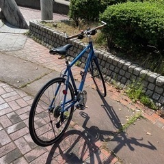 【決まりました】ジャイアント エスケープ R3 GIANT ESCAPE R3 Mサイズ　クロスバイク