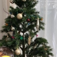 【無料！あげます】クリスマスツリー120cm