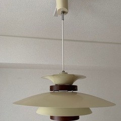 北欧ペンダントライト&ダクトレール