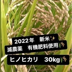 有機肥料使用　減農薬　ヒノヒカリ　2022年新米　30kg