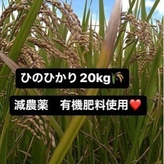 新米有機肥料使用減農薬　ヒノヒカリ20kg 玄米