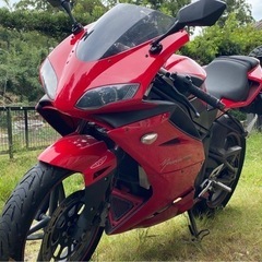 決まりました メガリ250r 赤 1.4万キロ