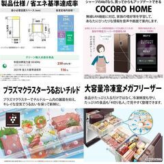 配達設置無料！ 美品 SHARP 2020年製 プラズマクラスター 大容量502L 6ドア