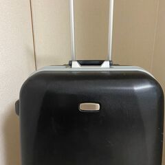 機内持ち込みのスーツケースが入る大型スーツケース