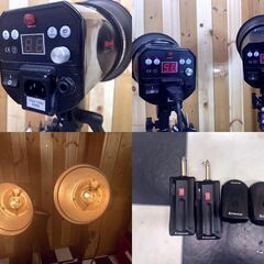 Menik モノブロックストロボ S-250D 2台セット 撮影 動作確認済み