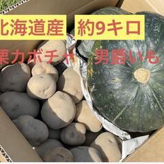 北海道産　栗かぼちゃと男爵いものセット!