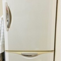 【先着順】大型冷蔵庫 365L  ファミリーサイズ