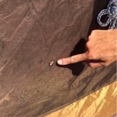 snow peak メッシュシェルター　TP-920R