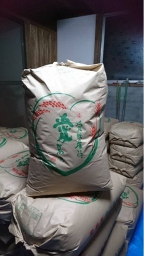 ※新米※愛媛県産ヒノヒカリ〜玄米30kg〜 2袋