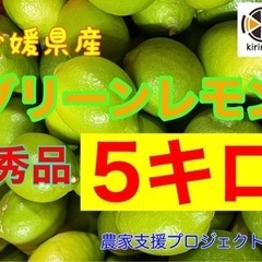愛媛県産　減農薬レモン　5キロ 〜　配達します！