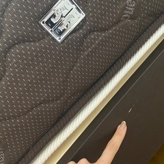 フランスベッド  スランバーランド　シングル　ベッドフレーム付