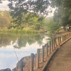 【朝活】じゅんさい池公園で散歩+ラジオ体操♪