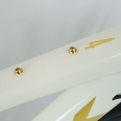 TREK「トレック」DOMANE AL4 DISC 2021年モデル ロードバイク