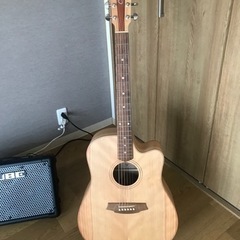 Cole Clark CCFL2EC-BM