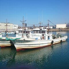 シラス漁　関連作業