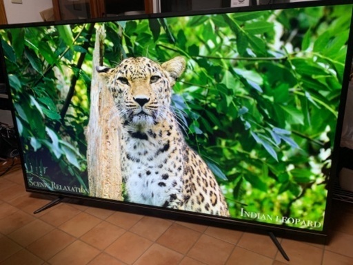 【期間限定特価】 65インチ 4K ジョワイユ 65型 55型 55インチ 60型 60インチ 検索 2018年製 65tv4kuhdsw184 液晶テレビ