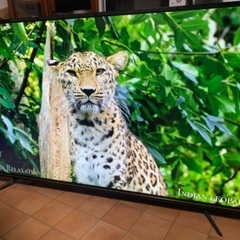 ジョワイユ 4K 65インチ 65型 65tv4kuhdsw18...