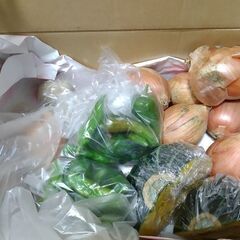 【北海道から】畑で採れたお野菜【先着2名様】