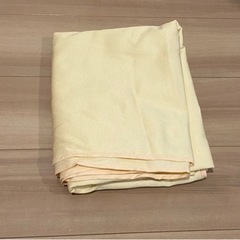 アテックス ATEX IONess イオネス ATX-HM1005 家庭用電位治療器