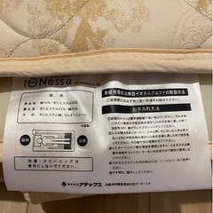 アテックス ATEX IONess イオネス ATX-HM1005 家庭用電位治療器