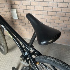 BMX ARESBIKES ashura フラットランドBMX