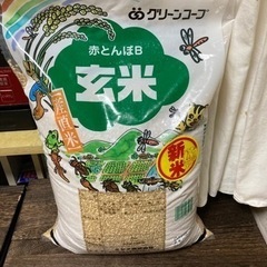 グリーンコープ玄米 産直米 新米5キロ