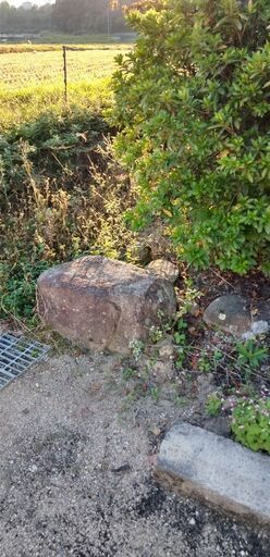 注文 庭石 値下げしました 