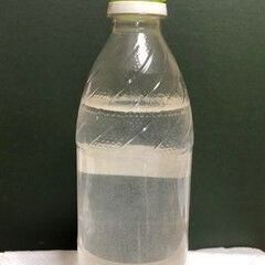 まだまだ産卵が！！　メダカの針子にゾウリムシ　１８００ｍｌ　　⑱