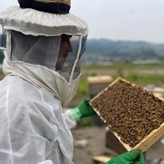 日本ミツバチ、養蜂巣箱、継箱、養蜂道具 − 長野県