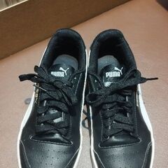 PUMA スニーカー 24・5cm