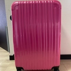 スーツケース【大】