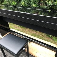 ローランド DP990RF (エリア内設置込み)